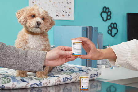 Outlet Drukarka etykiet Dymo LabelWriter 450 Duo