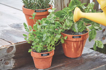 Dymo 2172855 Drukarka LetraTag LT-200B